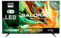 TV 43¨SALORA LEDTV