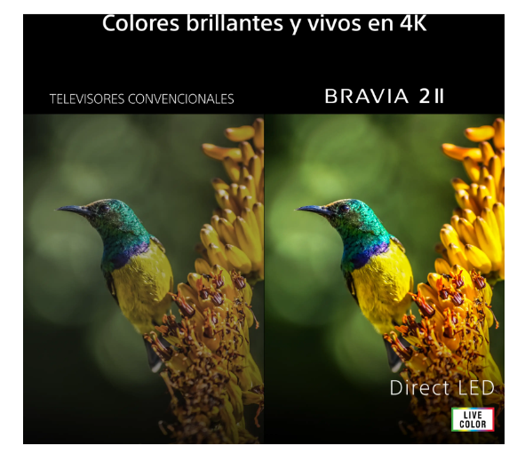TV LED 43" - Sony BRAVIA 2 II