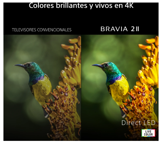 TV Sony BRAVIA 2 II LED 55" 4K